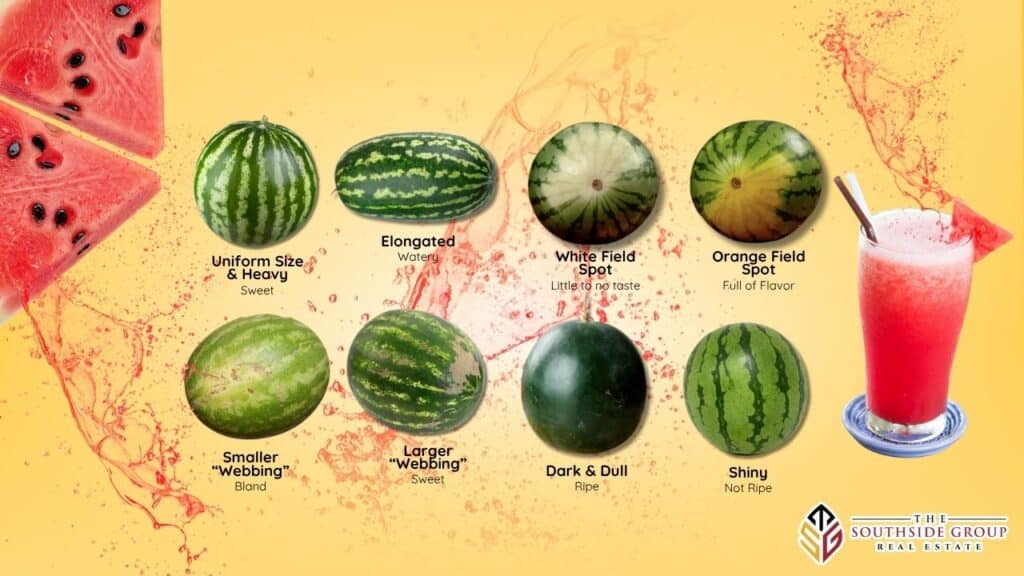 how to pick a watermelon