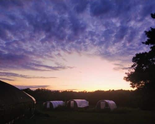 Real Estate in Broomes Island