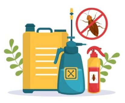Home Pest Prevention Strategies